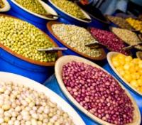 Olives in Morocco